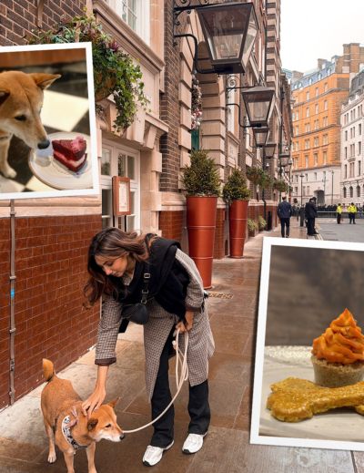 Un afternoon tea pour chiens à Londres au Great Scotland Yard Hôtel