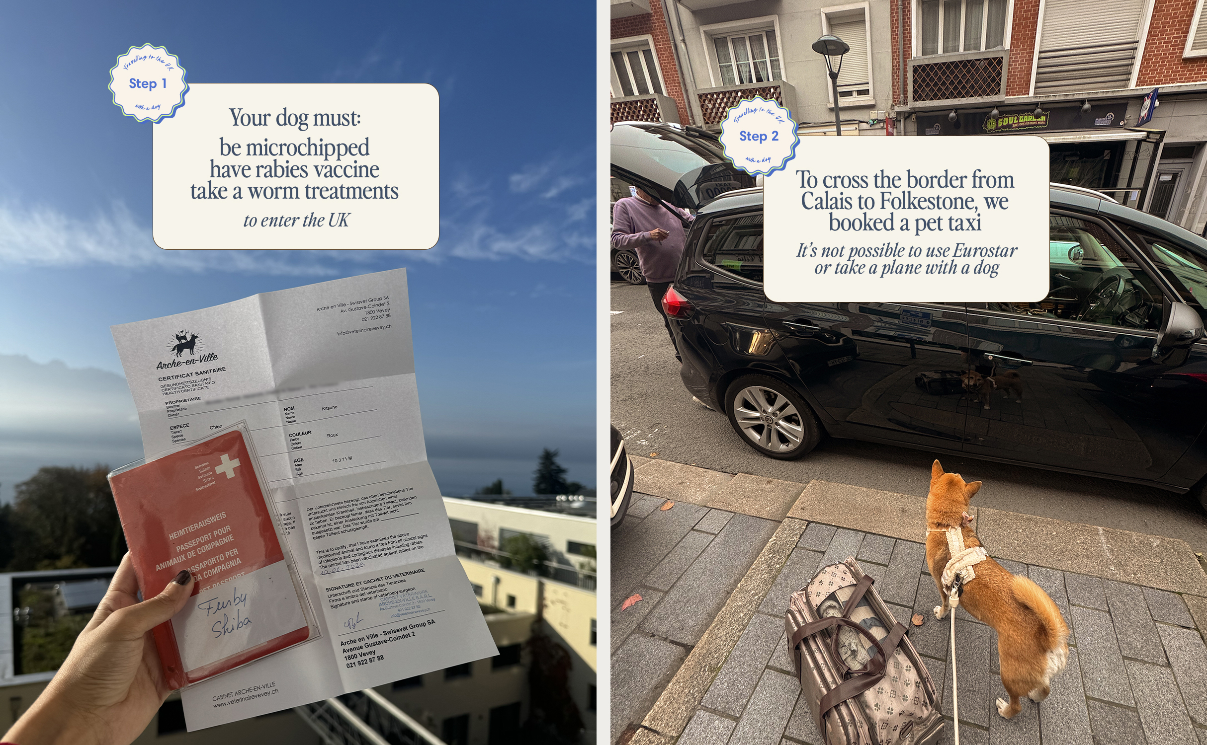 Préparer les papiers pour aller en Angleterre avec un chien