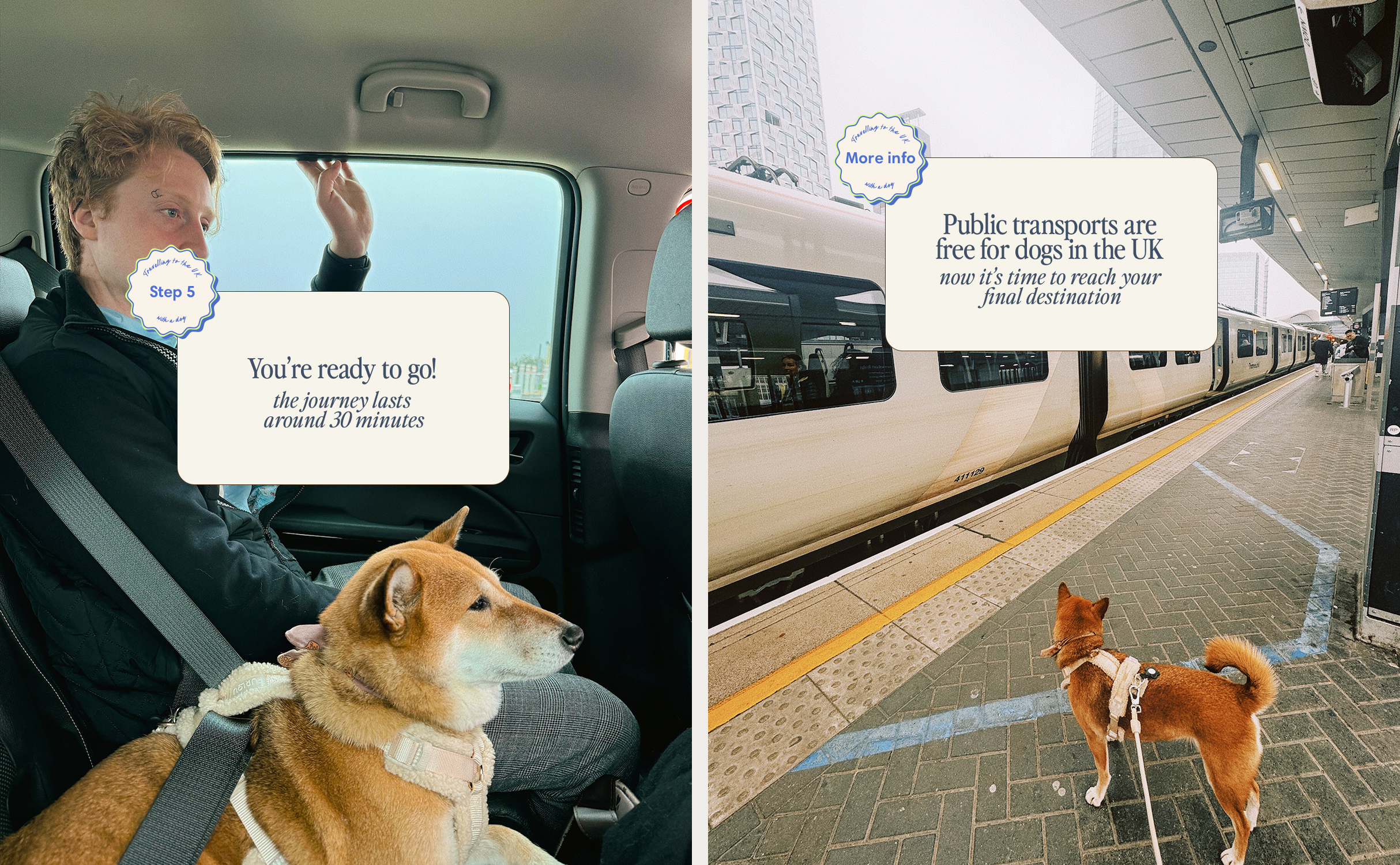 Le Pet Taxi emprunte l'Eurotunnel de Calais à Folkestone