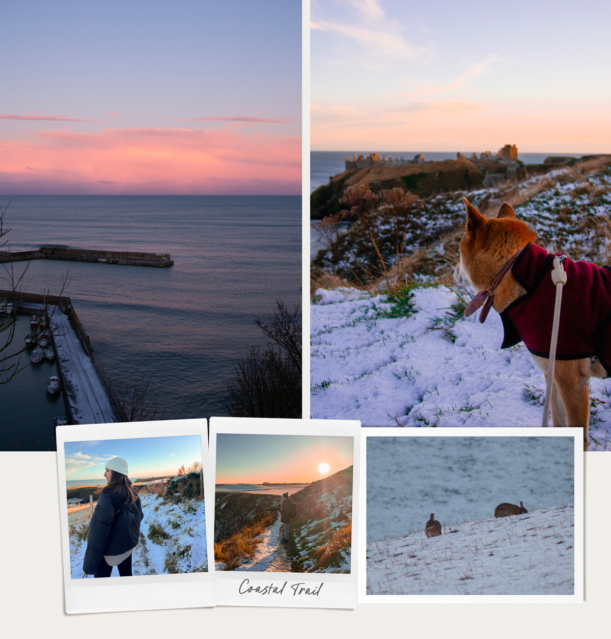 Stonehaven & animaux le long du coastal trail