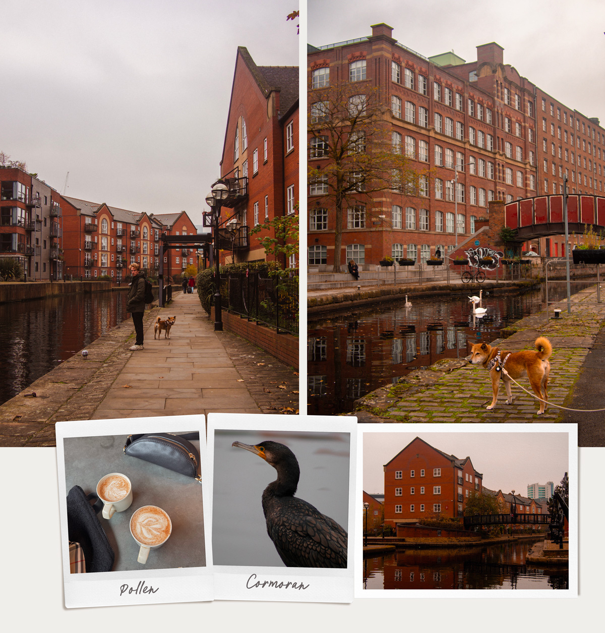 Le long du canal entre New Islington & Piccadilly Village