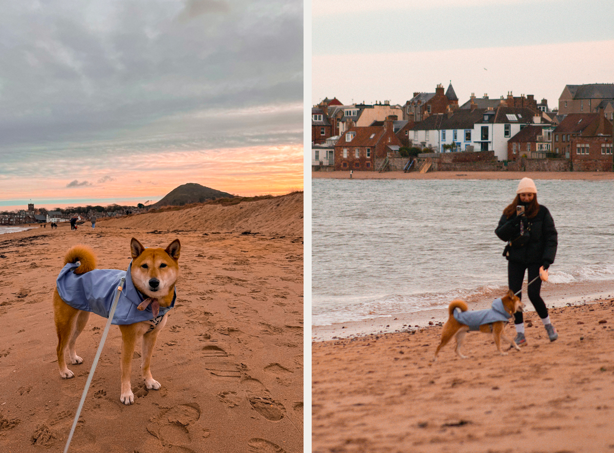 Plage de North Berwick