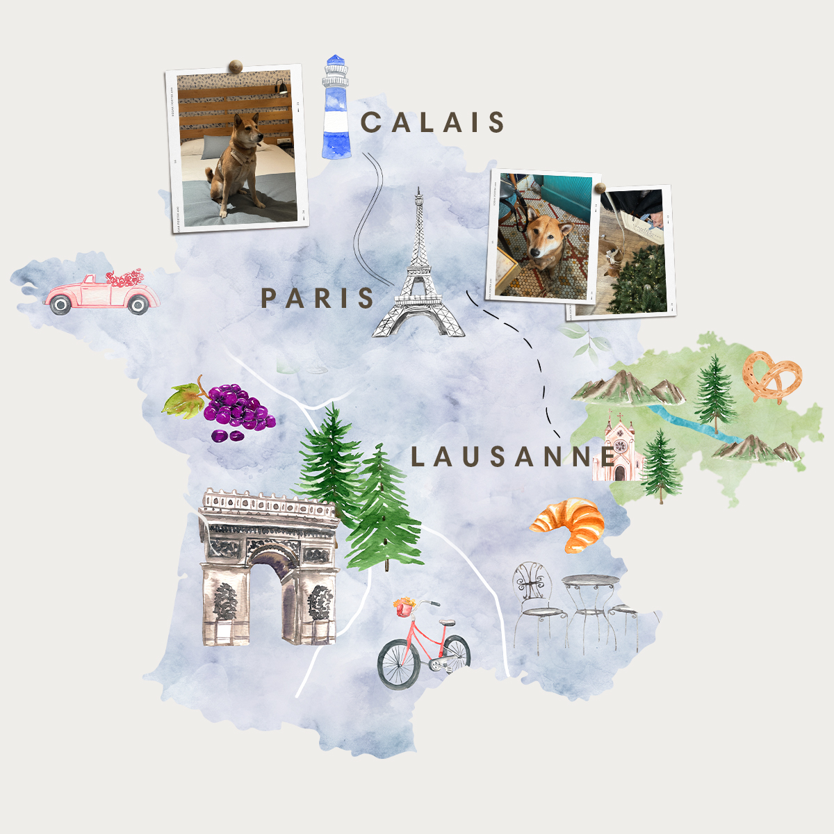 Trajet Paris – Calais avec un chien en train