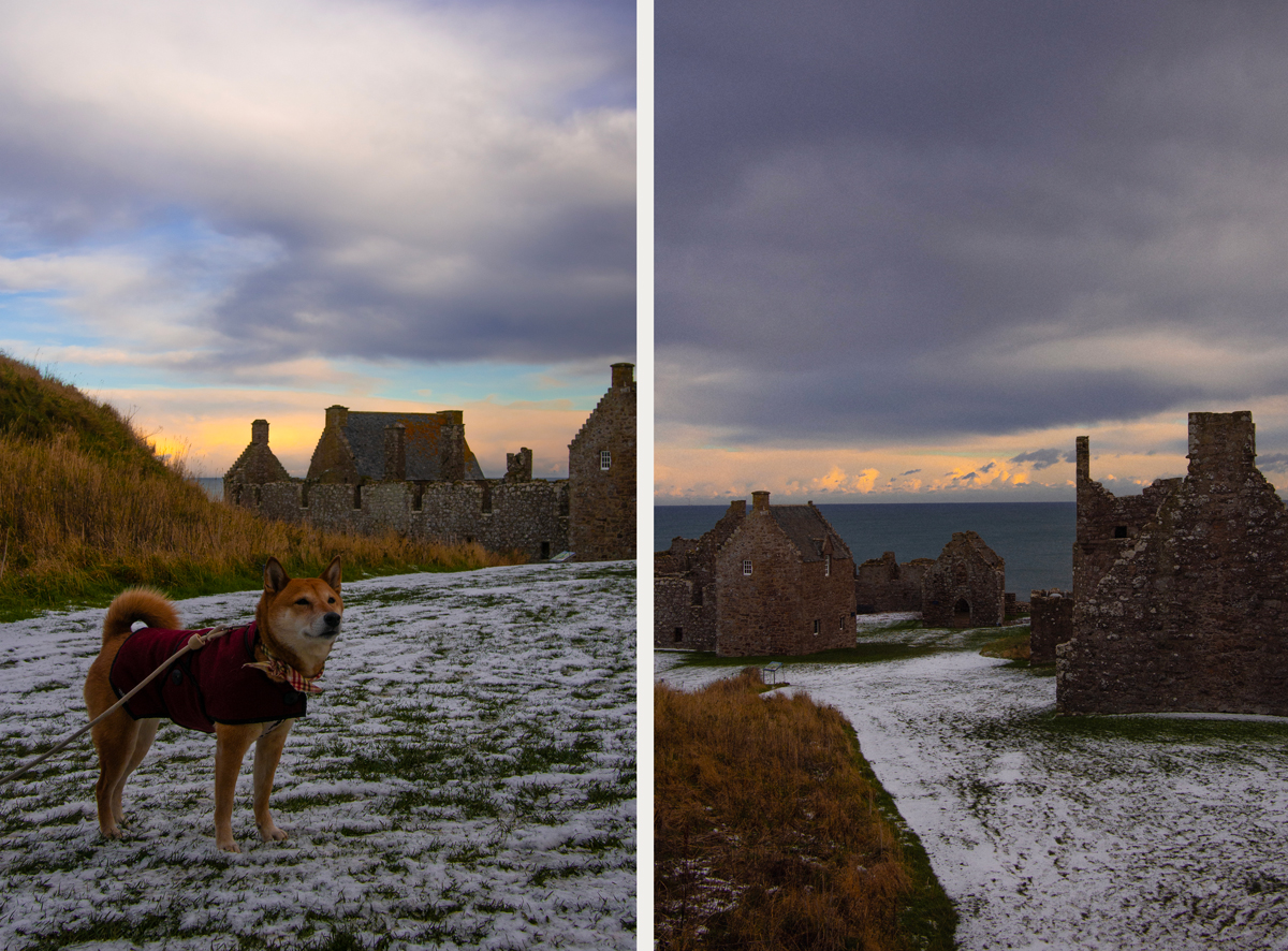 Le château de Dunnottar est dog friendly