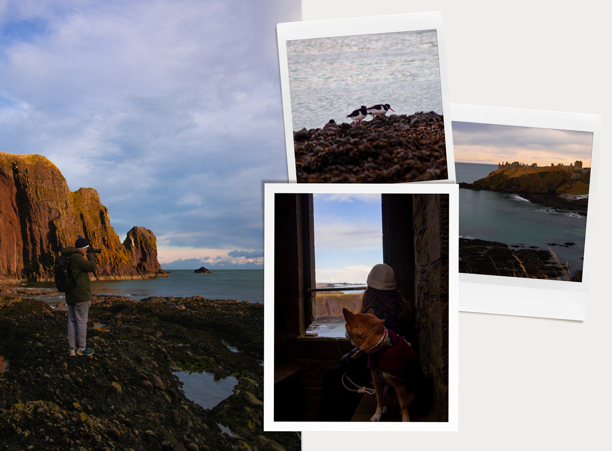 Coastal Trail, plage & Dunnottar Castle
