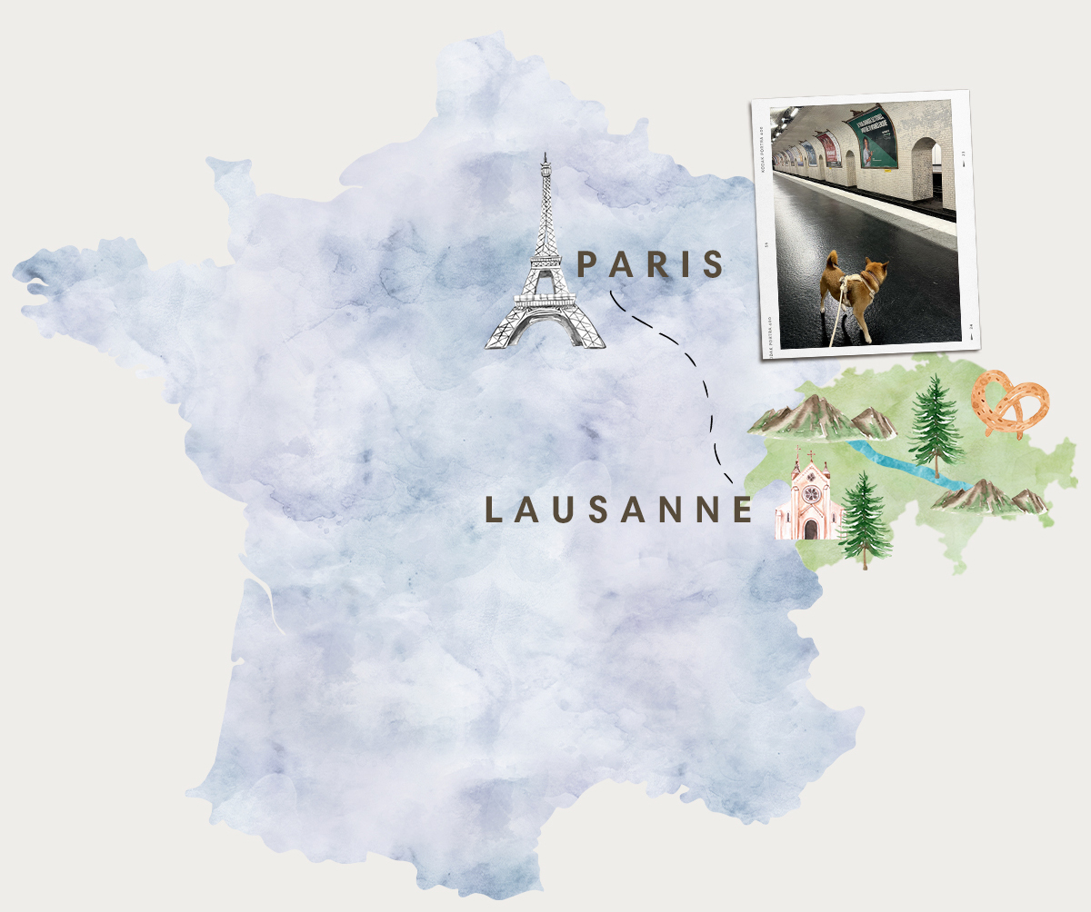 TGV Lyria de Lausanne à Paris avec un chien
