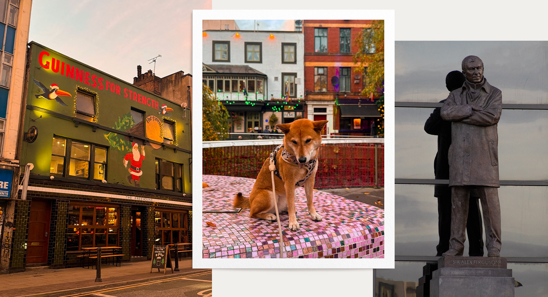 4 jours à Manchester avec un chien