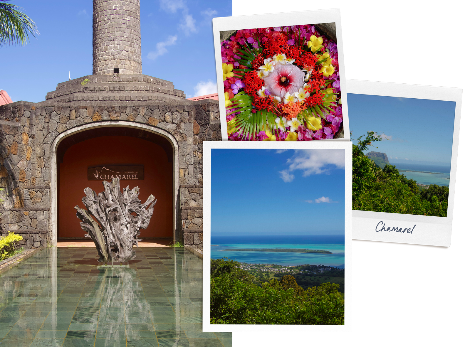 Visite de la rhumerie de Chamarel pour découvrir l'île Maurice
