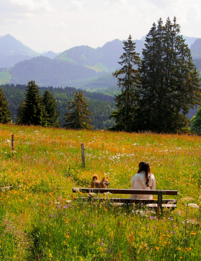 Sentier des Narcisses à Montreux et autres randonnées pour voir les Narcisses vers Vevey