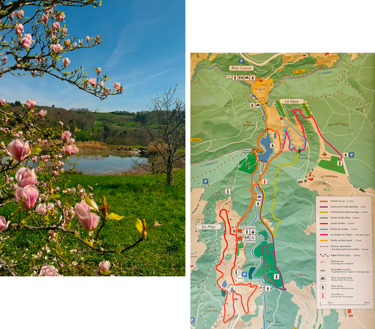 Carte des randonnées de l'arboretum d'Aubonne. 