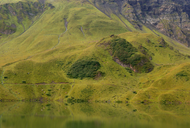 Voir des vautours à melchsee frutt (randonnée)