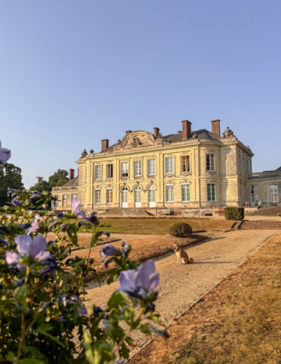 Dormir dans un château avec un chien: Le château de Craon