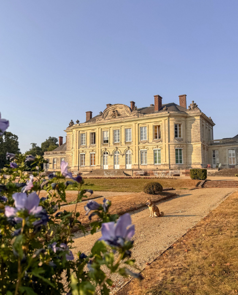 Dormir dans un château avec un chien: Le château de Craon
