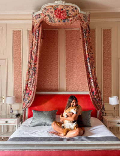 Dormir au château de Rochecotte avec un chien