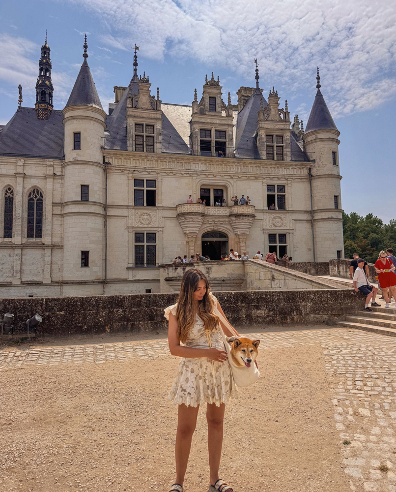 Visiter le château de Chenonceau avec un chien
