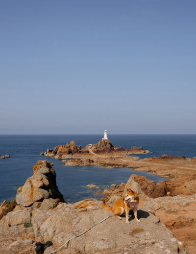 Visiter Jersey avec un chien, notre itinéraire de 4 jours