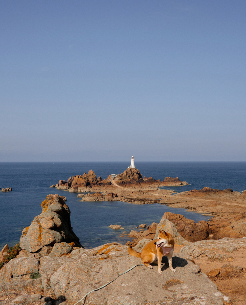 Visiter Jersey avec un chien, notre itinéraire de 4 jours